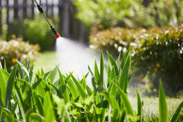 Tamper-Resistant Bait Stations for Rodents in Trenton