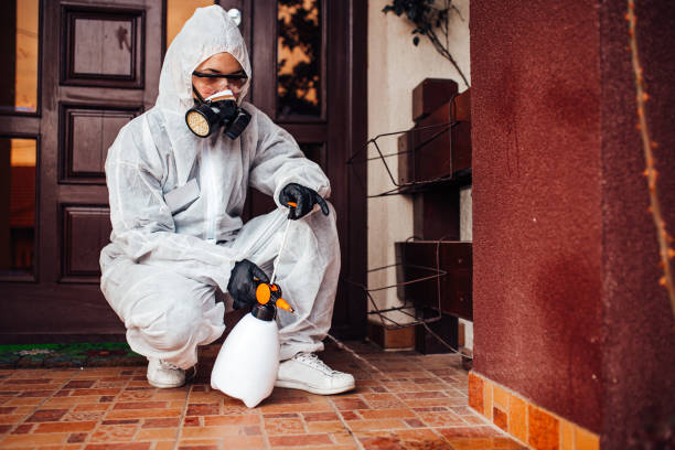 Attic and Crawl Space Rodent Treatment in Trenton